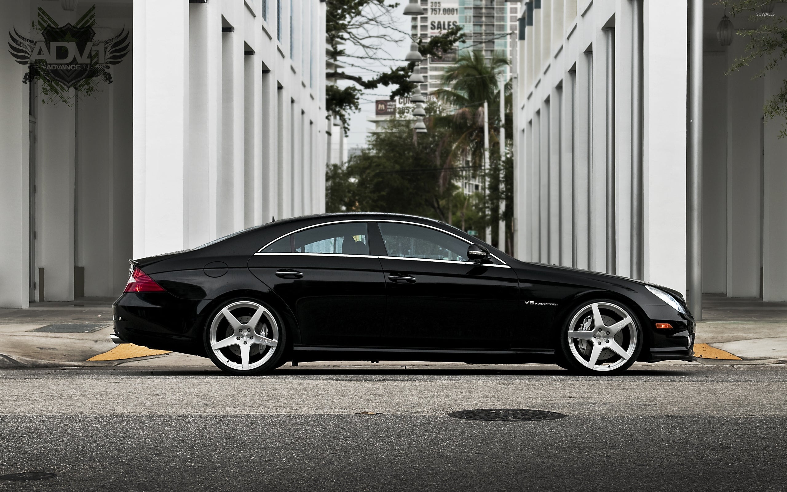 CLS55 C219